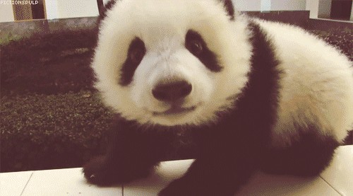 Panda;)