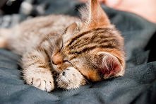 Nigdzie nie wstaję....