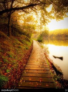 piękna jesień :)