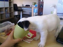 ...pić się chciało