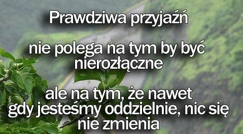 oczywiste
