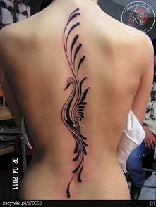 wzdłuż kręgosłupa