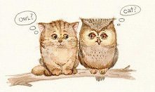 owl?
cat?