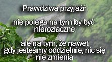 oczywiste