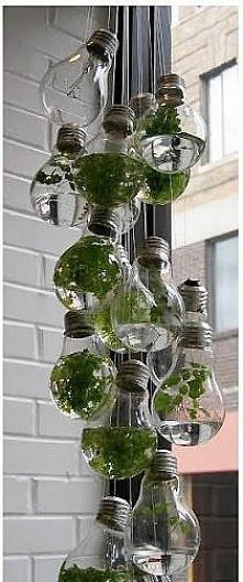 wazoniki z żarówek