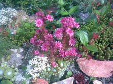 A sklaniaczek... Wyglądał inaczej o każdej porze roku...