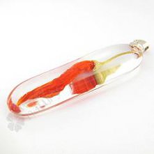 Wisiorek z Prawdziwą papryczką chili zatopioną w szklistej żywicy od Wzory Natury