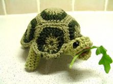 turtle pattern