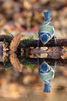 Jesieni... za szybko odchod...