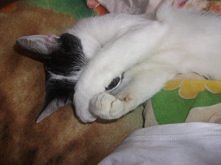 mój mały śpioch ;D