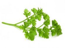 Wodę Pietruszkowa

Do przygotowania wody pietruszkowej potrzebujesz:
- pęczek pietruszki
- 150ml przegotowanej, zimnej wody
- szklaną butelkę

Posiekaj pęczek pietruszki i wrzuć...