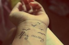 Fly away