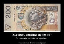 Zygmunt...