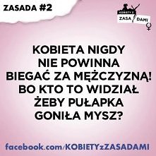 zasad 2