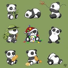 pandy <3