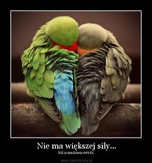 nie ma większej siły niż prawdziwa mołość