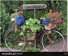 Rower jako kwietnik