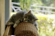 ale się zmęczyłem...