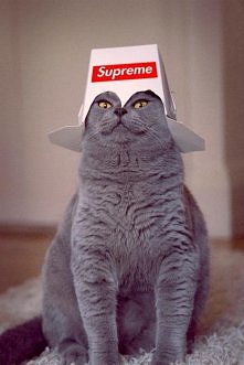 supreme