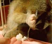 klikać <3! <3! <3!...