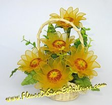 Słoneczniki z rajstop