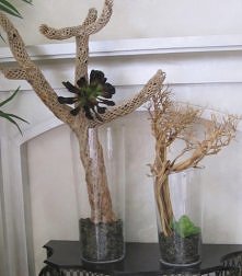 Kompozycje z eszewerią