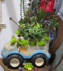 Ogródek w ...samochodziku