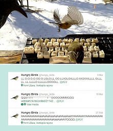 Hungry Birds na facebooku :)