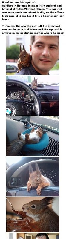 wzruszająca historia:-)