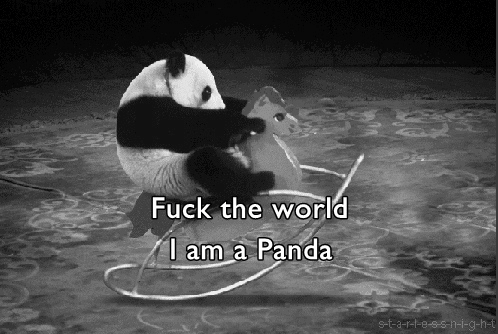 Panda.