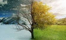 Ciekawy blog. Internetowa książka pisana kobiecym piórem. POLECAM ! :)