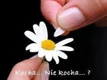 Kocha, nie kocha, lubi ,nie lubi, szanuje , zdradza .. ?