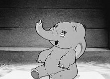 dumbo :)