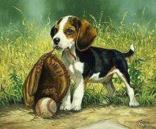 beagle