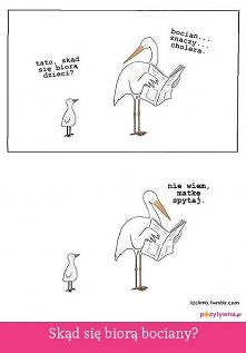 skád sie biorá bociany?