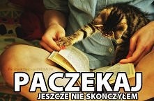 Paczekaj!