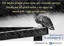 Nie sztuka przejść przez życie gdy wszystko sprzyja.
Sztuką jest iść przed siebie i nie ugiąć się,
nawet jeśli ciągle jest pod wiatr...