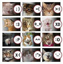 Cat’s emoticons