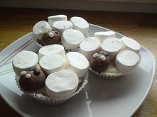 Muffinki baranki

xsysia25.pinger.pl