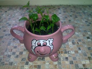 Cytrynka... (tutorial)