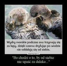 "Bo chodzi o to, by od siebie nie upaść za daleko..."