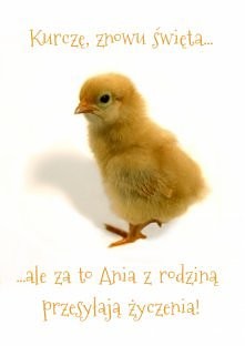 Wielkanocna kartka na Card ...