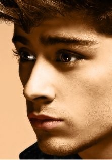 Zayn Malik xxx