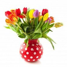 Kwiaty w wazonie - wiosno p...