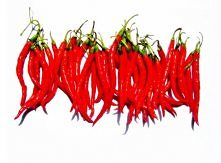 Zaczynamy hodowlę papryczek w domu! lawendowylas.blogspot.com Zapraszam!