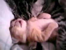 How to Stop a Nightmare