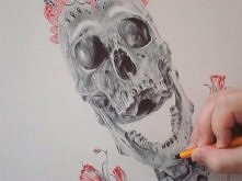 skull drawing