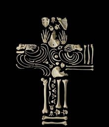 Skull and Bone Sculptures