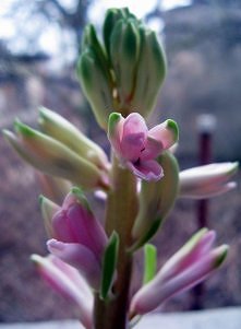 ucieczka do innego świata