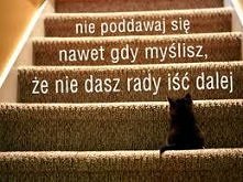 Nie poddawaj się